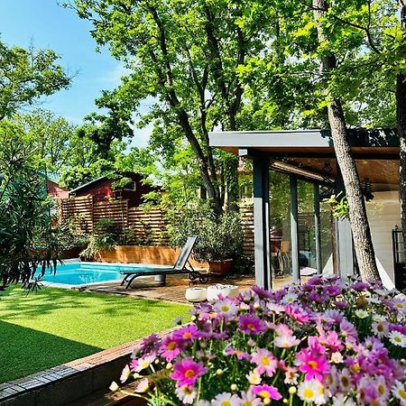 Pine-Wood Resort Balatonalmádi Εξωτερικό φωτογραφία